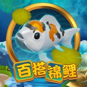 百搭锦鲤
