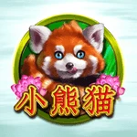 小熊猫