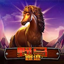 野马踪迹
