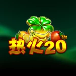 热火 20
