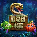 亚马逊果实