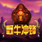 野牛冲锋