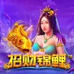 招财锦鲤