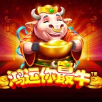鸿运你最牛